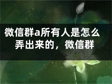 微信群a所有人是怎么弄出來的，微信群