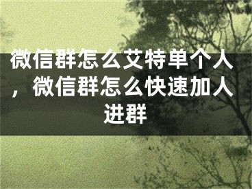 微信群怎么艾特單個人，微信群怎么快速加人進群