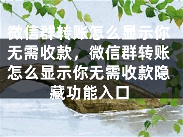 微信群轉(zhuǎn)賬怎么顯示你無(wú)需收款，微信群轉(zhuǎn)賬怎么顯示你無(wú)需收款隱藏功能入口