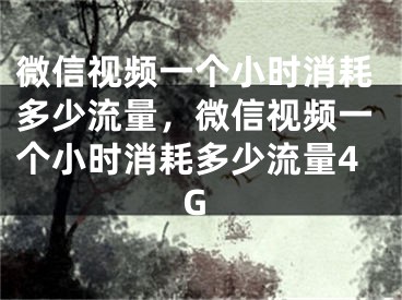 微信視頻一個(gè)小時(shí)消耗多少流量，微信視頻一個(gè)小時(shí)消耗多少流量4G