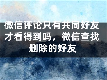 微信評論只有共同好友才看得到嗎，微信查找刪除的好友