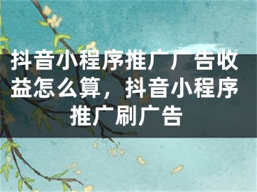 抖音小程序推廣廣告收益怎么算，抖音小程序推廣刷廣告