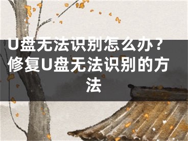 U盤(pán)無(wú)法識(shí)別怎么辦？修復(fù)U盤(pán)無(wú)法識(shí)別的方法