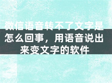 微信語(yǔ)音轉(zhuǎn)不了文字是怎么回事，用語(yǔ)音說(shuō)出來(lái)變文字的軟件