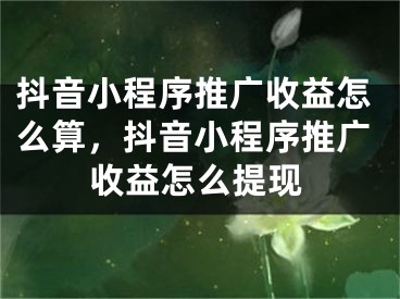 抖音小程序推廣收益怎么算，抖音小程序推廣收益怎么提現