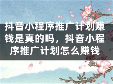 抖音小程序推廣計(jì)劃賺錢是真的嗎，抖音小程序推廣計(jì)劃怎么賺錢