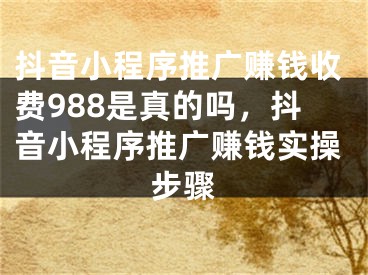 抖音小程序推廣賺錢收費(fèi)988是真的嗎，抖音小程序推廣賺錢實(shí)操步驟