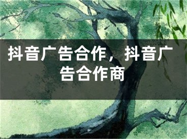 抖音廣告合作，抖音廣告合作商