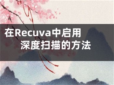 在Recuva中啟用深度掃描的方法