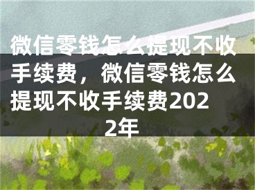 微信零錢怎么提現(xiàn)不收手續(xù)費，微信零錢怎么提現(xiàn)不收手續(xù)費2022年