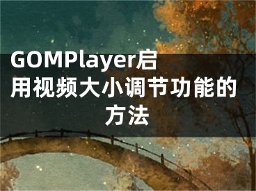 GOMPlayer啟用視頻大小調(diào)節(jié)功能的方法