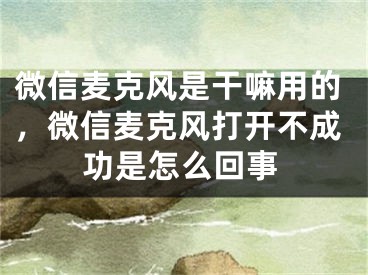 微信麥克風(fēng)是干嘛用的，微信麥克風(fēng)打開不成功是怎么回事