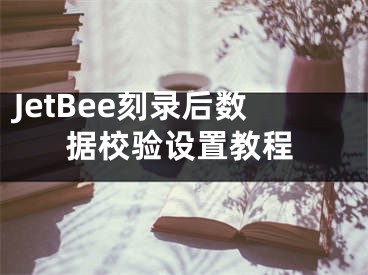 JetBee刻錄后數(shù)據(jù)校驗(yàn)設(shè)置教程