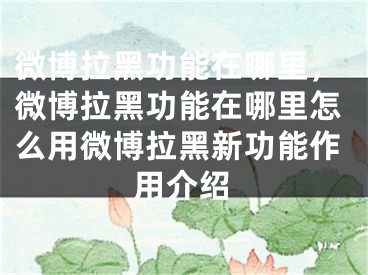 微博拉黑功能在哪里，微博拉黑功能在哪里怎么用微博拉黑新功能作用介紹