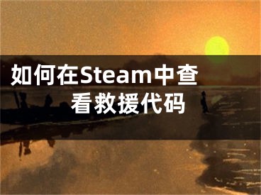 如何在Steam中查看救援代碼