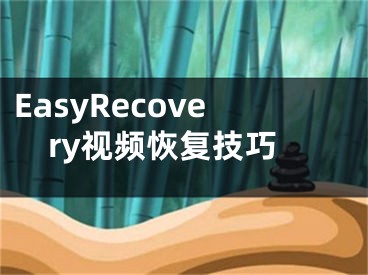 EasyRecovery視頻恢復技巧