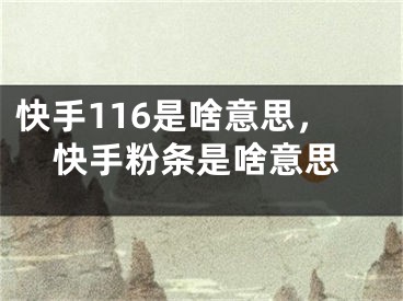 快手116是啥意思，快手粉條是啥意思