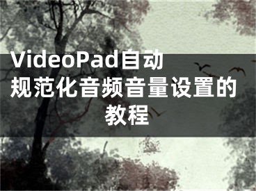 VideoPad自動規(guī)范化音頻音量設(shè)置的教程