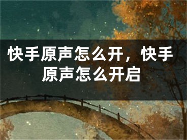 快手原聲怎么開，快手原聲怎么開啟