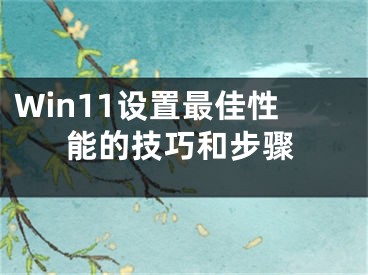 Win11設(shè)置最佳性能的技巧和步驟