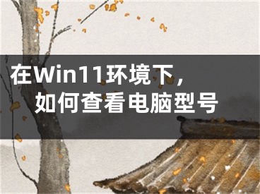 在Win11環(huán)境下，如何查看電腦型號