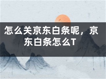 怎么關(guān)京東白條呢，京東白條怎么T