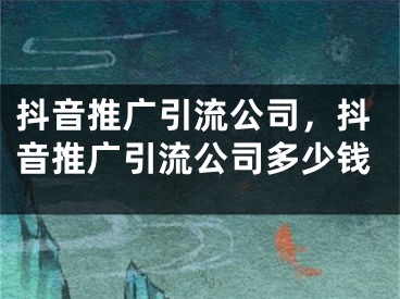 抖音推廣引流公司，抖音推廣引流公司多少錢