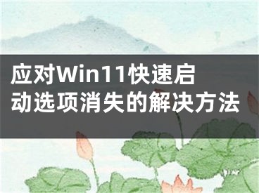 應(yīng)對Win11快速啟動選項消失的解決方法