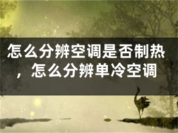 怎么分辨空調(diào)是否制熱，怎么分辨單冷空調(diào)