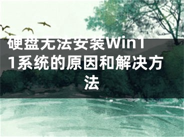 硬盤無(wú)法安裝Win11系統(tǒng)的原因和解決方法