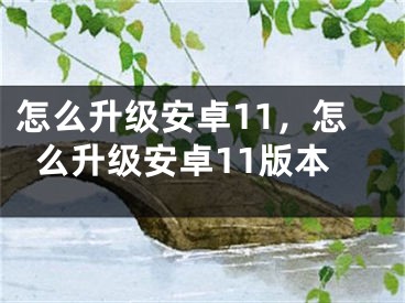 怎么升級安卓11，怎么升級安卓11版本