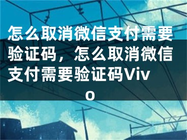 怎么取消微信支付需要驗證碼，怎么取消微信支付需要驗證碼Vivo