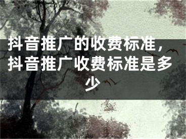 抖音推廣的收費(fèi)標(biāo)準(zhǔn)，抖音推廣收費(fèi)標(biāo)準(zhǔn)是多少