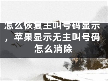 怎么恢復主叫號碼顯示，蘋果顯示無主叫號碼怎么消除