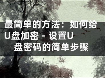 最簡(jiǎn)單的方法：如何給U盤加密 - 設(shè)置U盤密碼的簡(jiǎn)單步驟