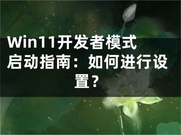 Win11開發(fā)者模式啟動指南：如何進行設(shè)置？