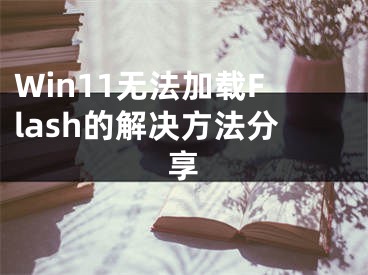 Win11無法加載Flash的解決方法分享