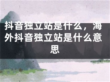 抖音獨立站是什么，海外抖音獨立站是什么意思