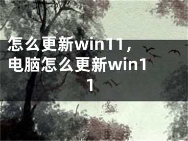 怎么更新win11，電腦怎么更新win11