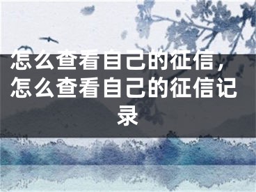 怎么查看自己的征信，怎么查看自己的征信記錄