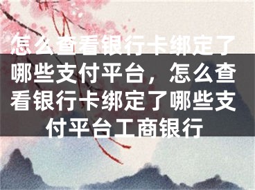 怎么查看銀行卡綁定了哪些支付平臺(tái)，怎么查看銀行卡綁定了哪些支付平臺(tái)工商銀行