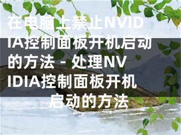 在電腦上禁止NVIDIA控制面板開機(jī)啟動的方法 - 處理NVIDIA控制面板開機(jī)啟動的方法