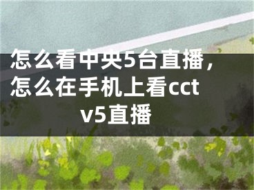 怎么看中央5臺(tái)直播，怎么在手機(jī)上看cctv5直播