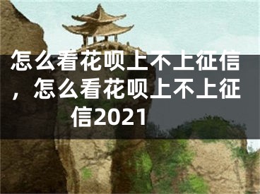 怎么看花唄上不上征信，怎么看花唄上不上征信2021