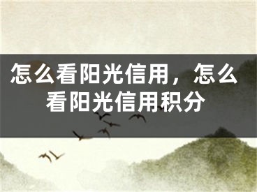 怎么看陽(yáng)光信用，怎么看陽(yáng)光信用積分