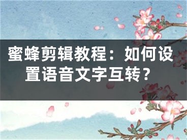 蜜蜂剪輯教程：如何設(shè)置語(yǔ)音文字互轉(zhuǎn)？