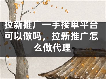 拉新推廣一手接單平臺(tái)可以做嗎，拉新推廣怎么做代理