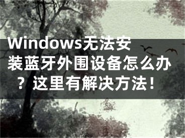 Windows無法安裝藍牙外圍設(shè)備怎么辦？這里有解決方法！