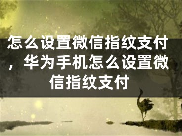 怎么設(shè)置微信指紋支付，華為手機(jī)怎么設(shè)置微信指紋支付