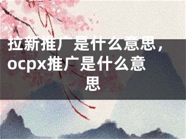 拉新推廣是什么意思，ocpx推廣是什么意思